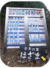 �摜