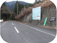 �摜
